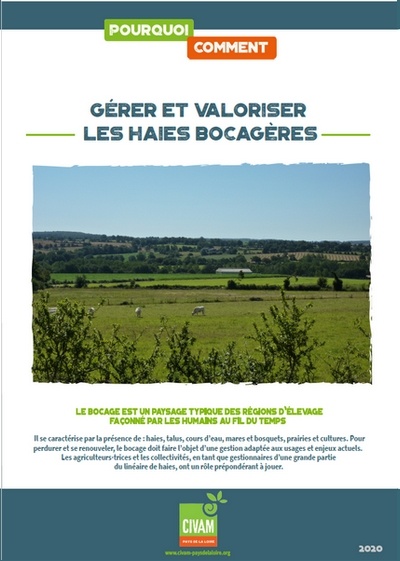 Pourquoi/Comment gérer et valoriser les haies bocagères