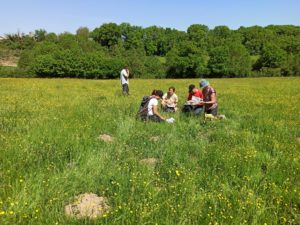 Photo prairie naturelle avec un groupe d'agriculteurs et agricultrices agenouillés