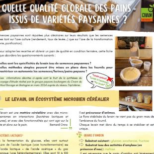 Fiche technique PB